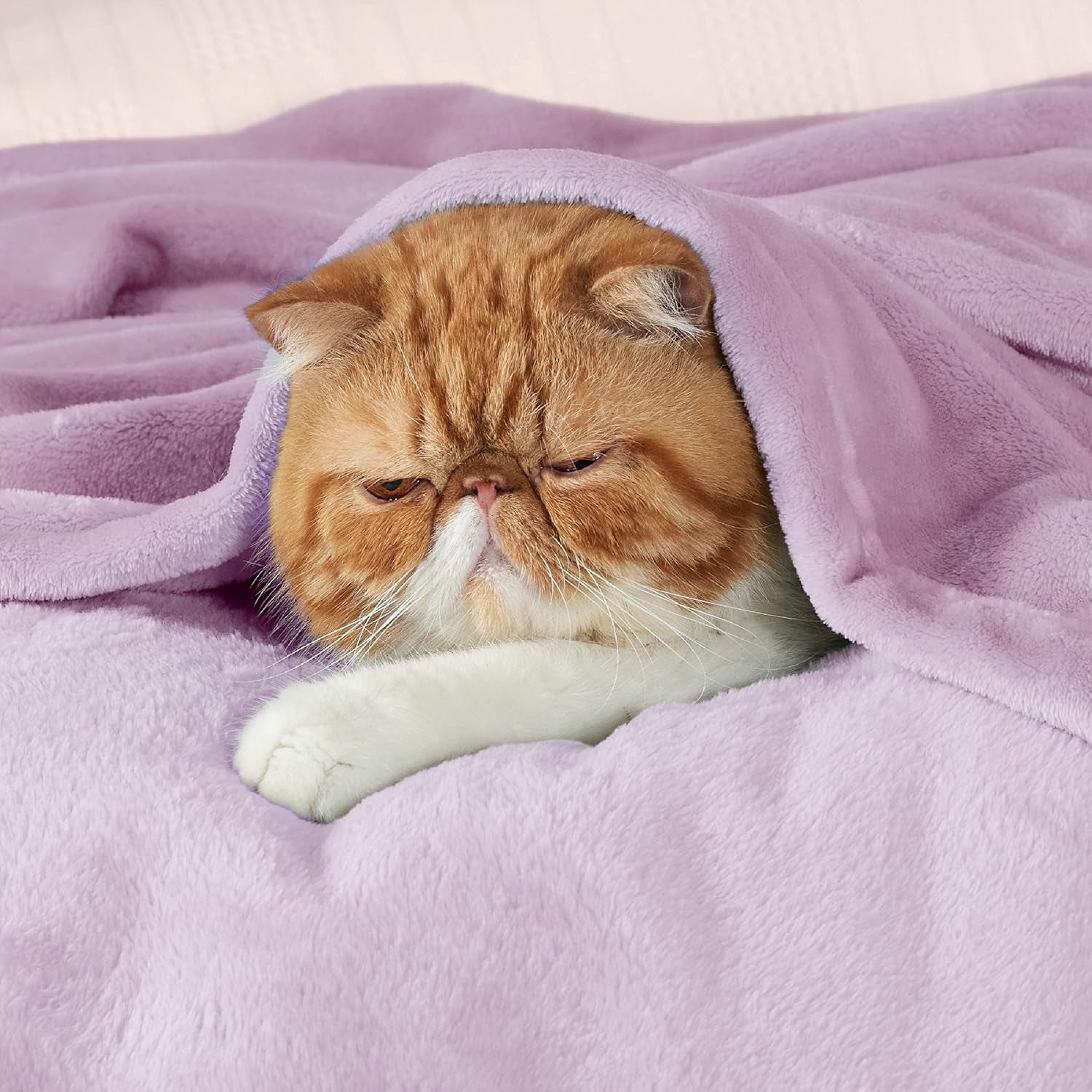 Gentlesoft Fleece Blankets Queen Size Lilac Lavender - Bed Blanket Soft Lightweight Plush Fuzzy Cozy Luxury Microfiber, 90X90 Inches