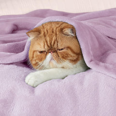 Gentlesoft Fleece Blankets Queen Size Lilac Lavender - Bed Blanket Soft Lightweight Plush Fuzzy Cozy Luxury Microfiber, 90X90 Inches